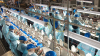 China lifts HPAI poultry export restrictions for 17 states