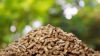 EU compound feed production market forecast 2026